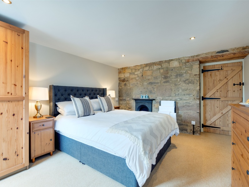 Guillemot - Northumberland