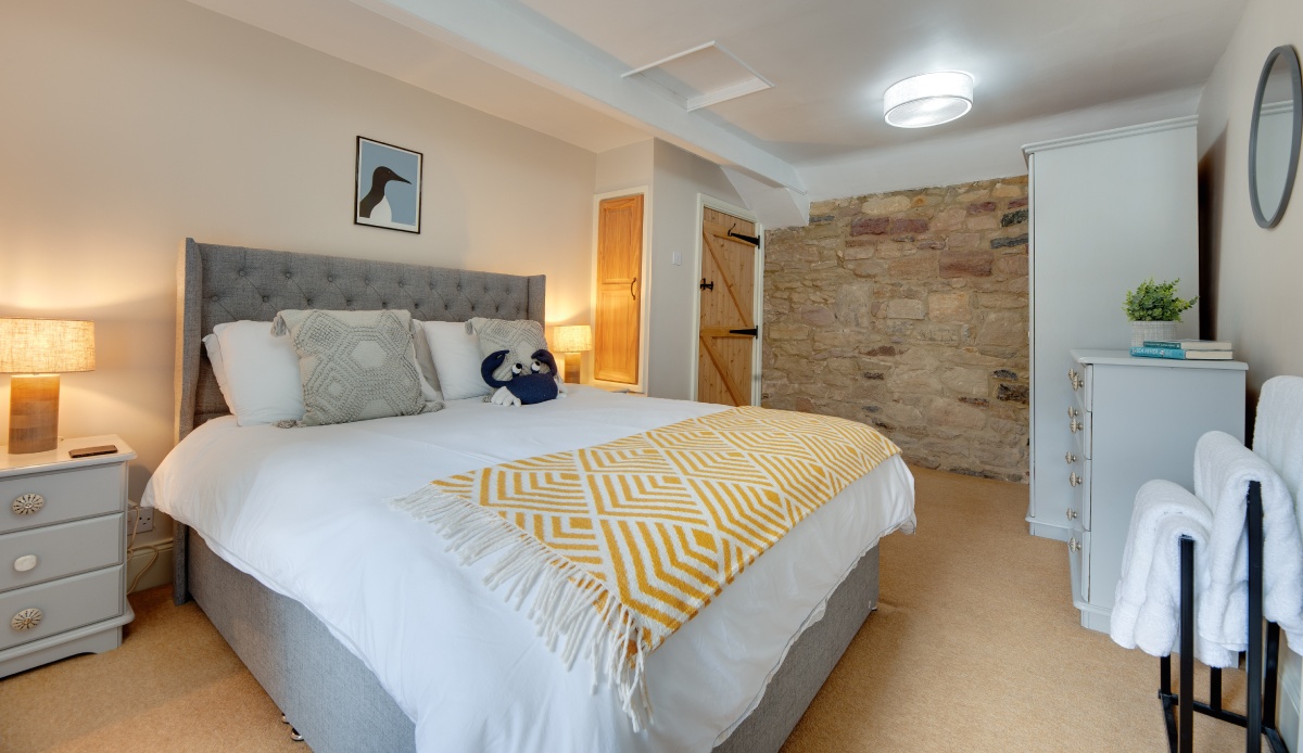 Guillemot - Northumberland