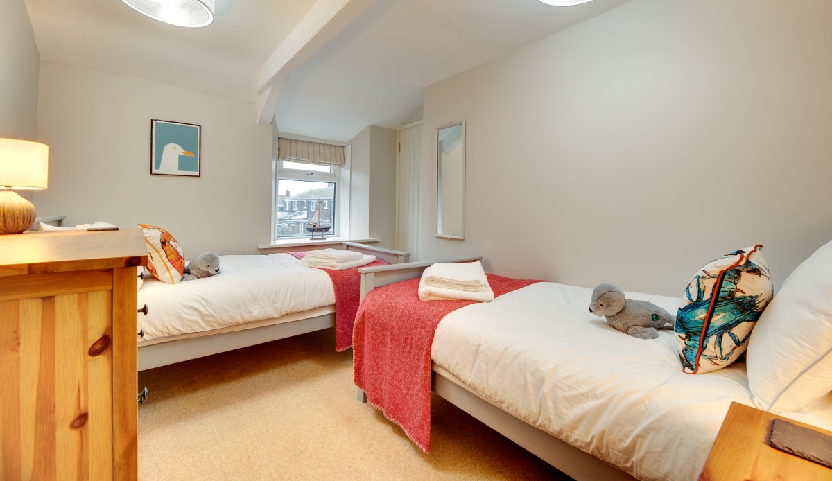 Guillemot - Northumberland