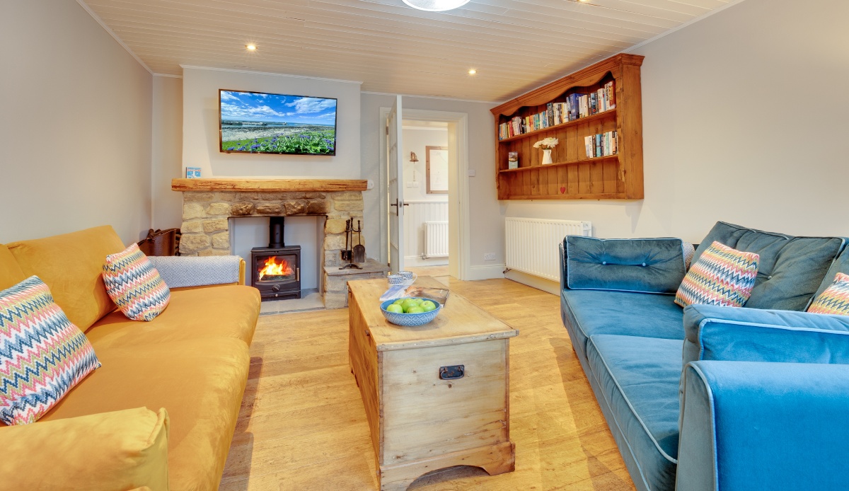 Guillemot - Northumberland